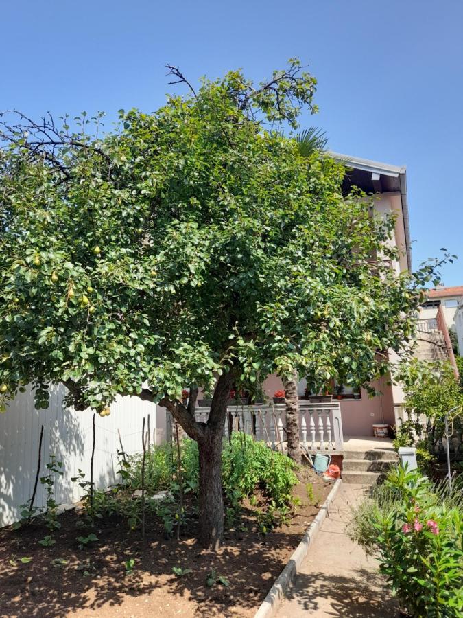 מוסטר Apartman Avdic מראה חיצוני תמונה
