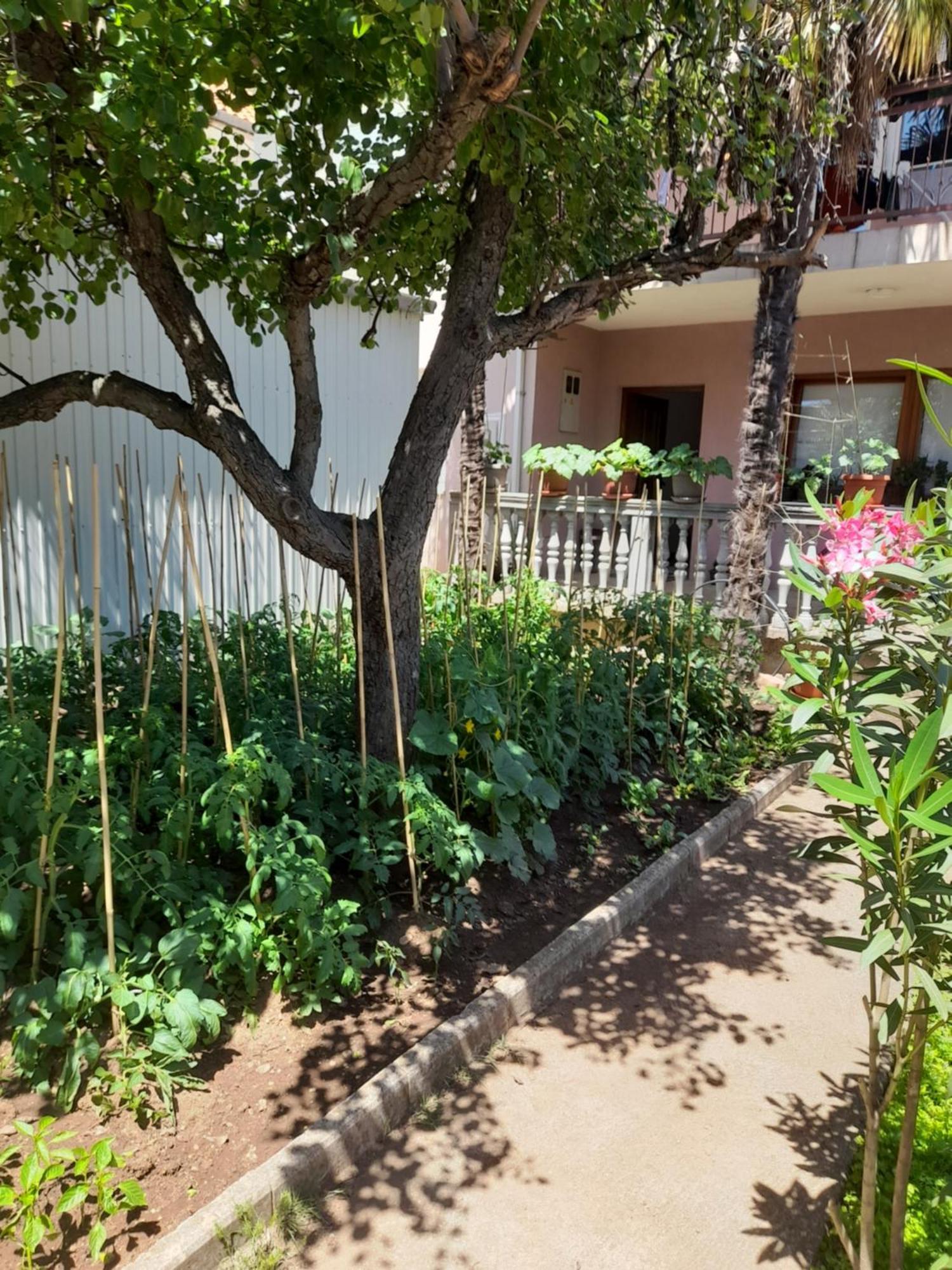 מוסטר Apartman Avdic מראה חיצוני תמונה